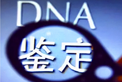 无锡隐私亲子鉴定中心电话查询